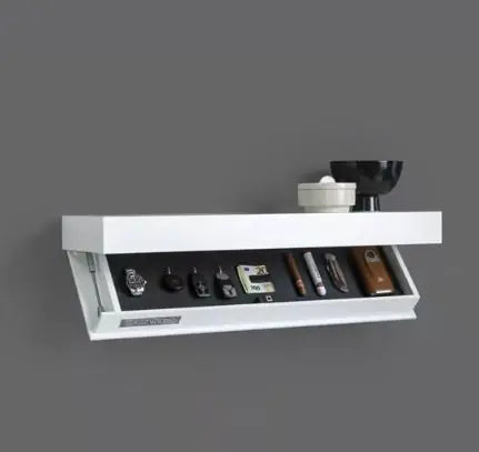 Designer Shelf With hidden storage